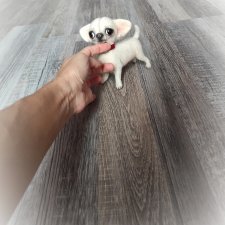 Щенок микро чихуашки