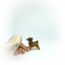 Брюссельский гриффон