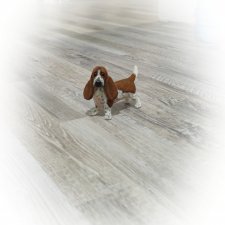 Бассет хаунд