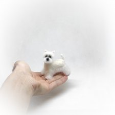 Вест Хайленд Уайт терьер