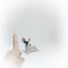 Французский бульдог