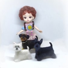 Вест Хайленд Уайт терьер