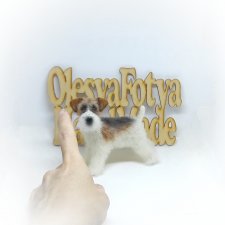 Фокстерьер