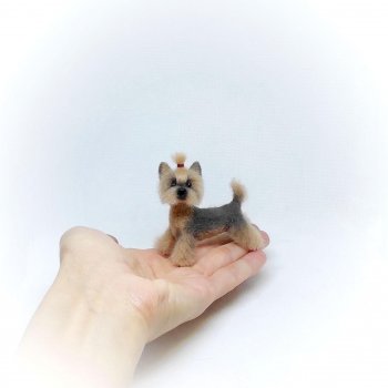 Йоркширский терьер