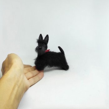 Скотч терьер