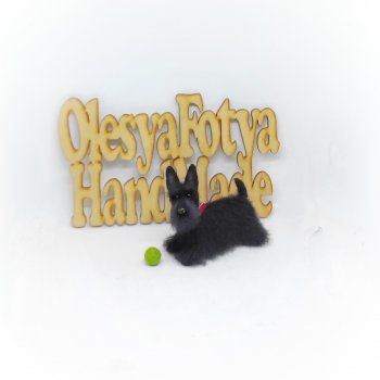 Скотч терьер