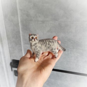 Британский кот