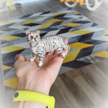 Котик в процессе