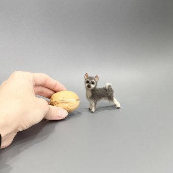 Щенок хаски