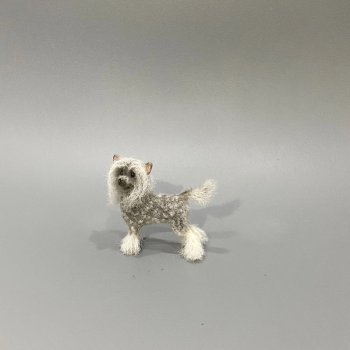 Китайская хохлатая собачка