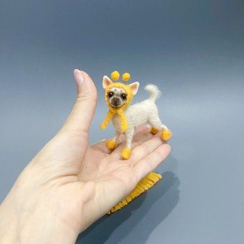 Чихуахуа в шапочке