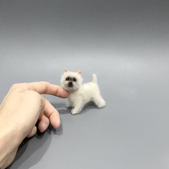 Вест Хайленд Уайт терьер