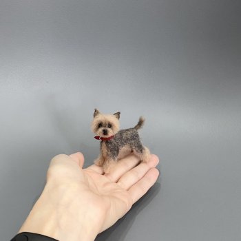 Йоркширский терьер