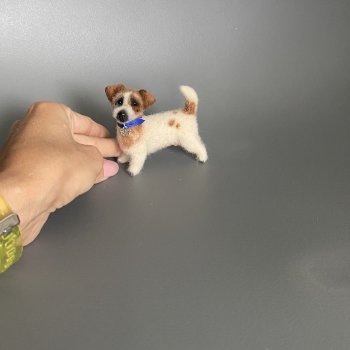 Джек рассел терьер