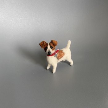 Джек Рассел терьер