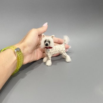 Китайская хохлатая собака