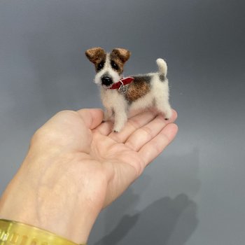 Парсон рассел терьер