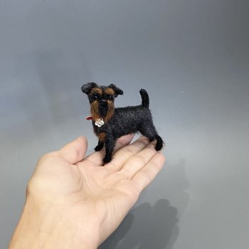 Бельгийский гриффон