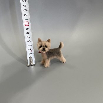 Йоркширский терьер