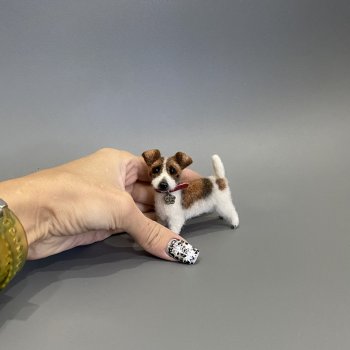 Джек Рассел терьер