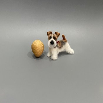 Фокс терьер