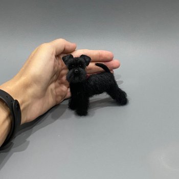 Цвергшнауцер