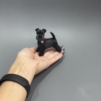 Цвергшнауцер