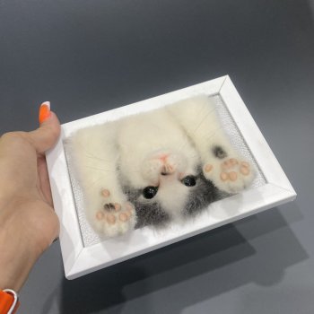 Портрет котёнка