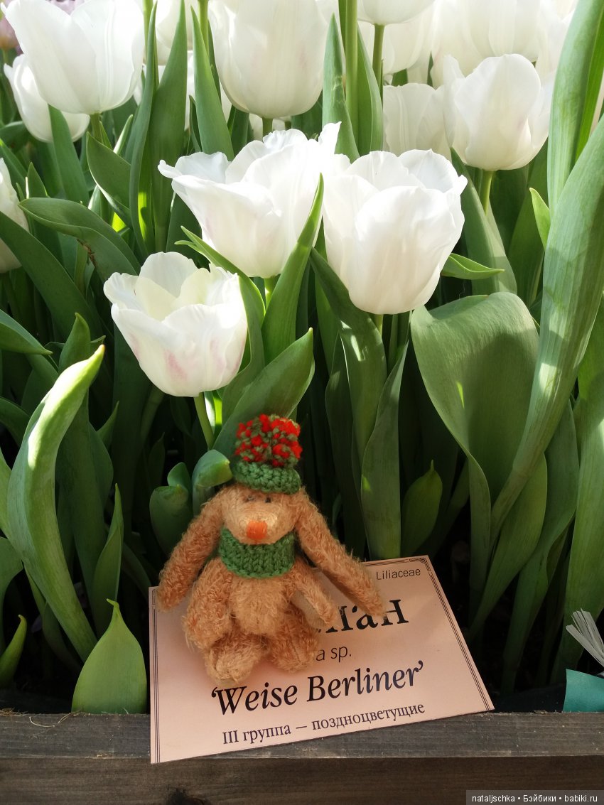 Фима встречает весну — Интересные игрушки и фигурки (разное): редкие (фото 3)