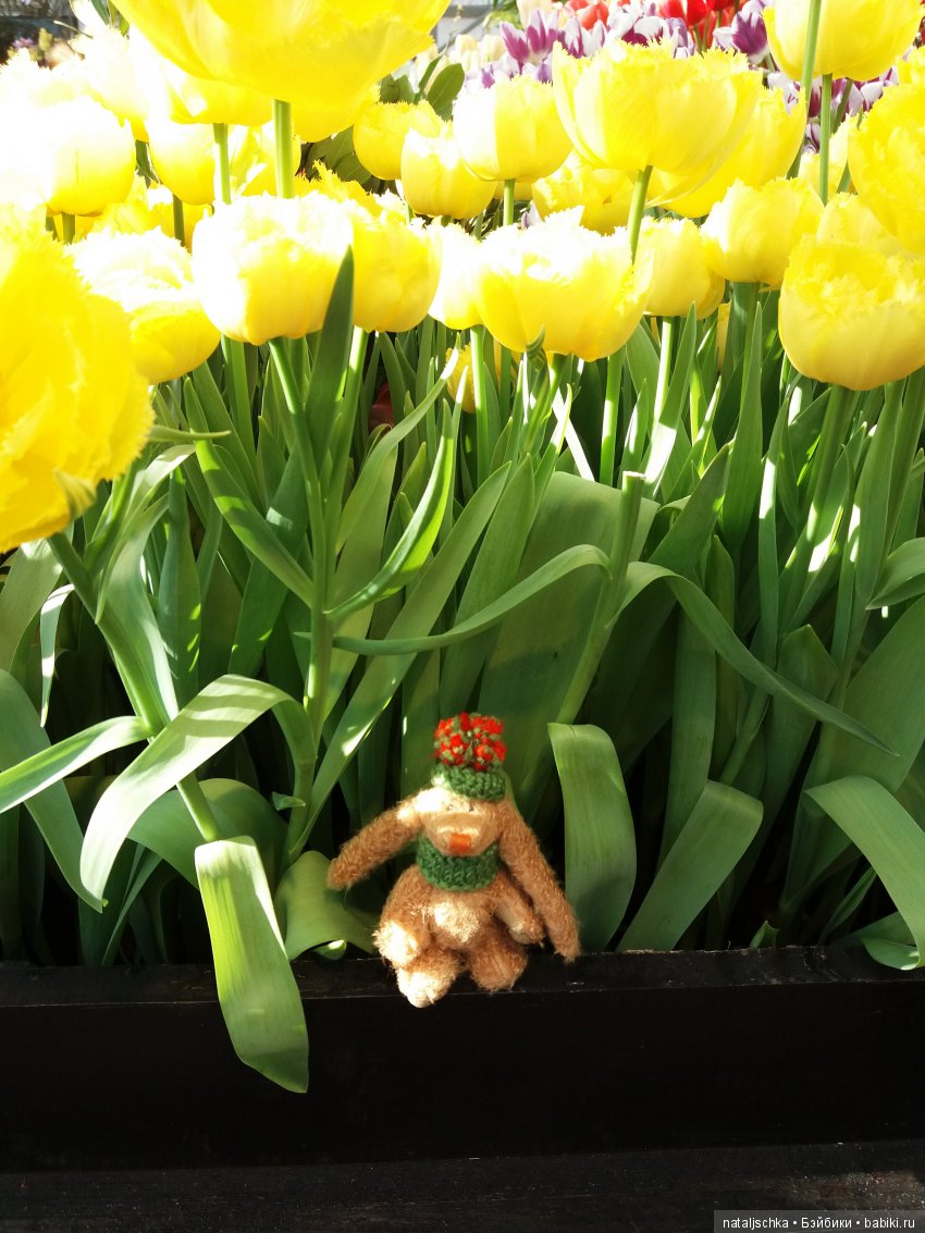 Фима встречает весну — Интересные игрушки и фигурки (разное): редкие (фото 6)