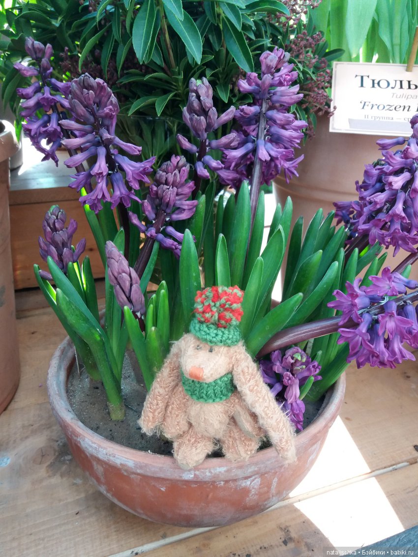 Фима встречает весну — Интересные игрушки и фигурки (разное): редкие (фото 4)