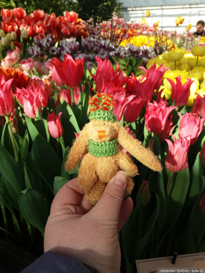 Фима встречает весну — Интересные игрушки и фигурки (разное): редкие (фото 7)