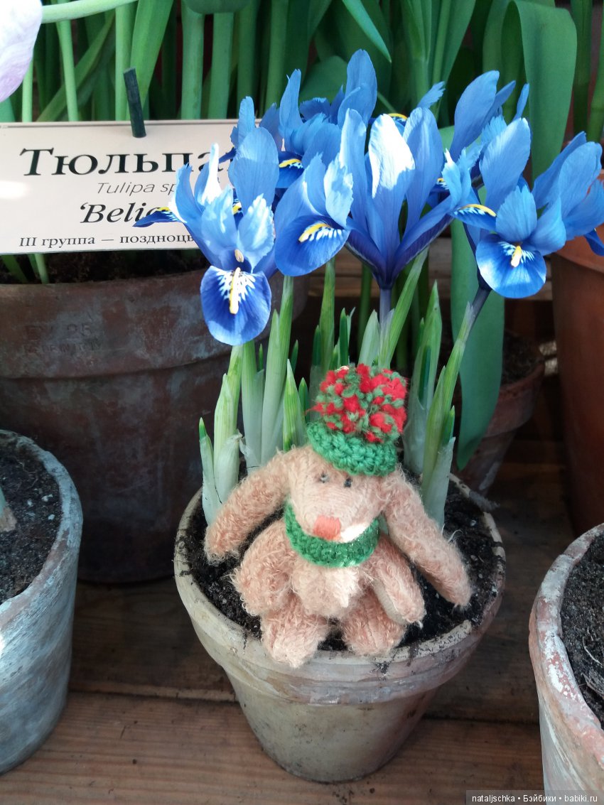 Фима встречает весну — Интересные игрушки и фигурки (разное): редкие (фото 5)