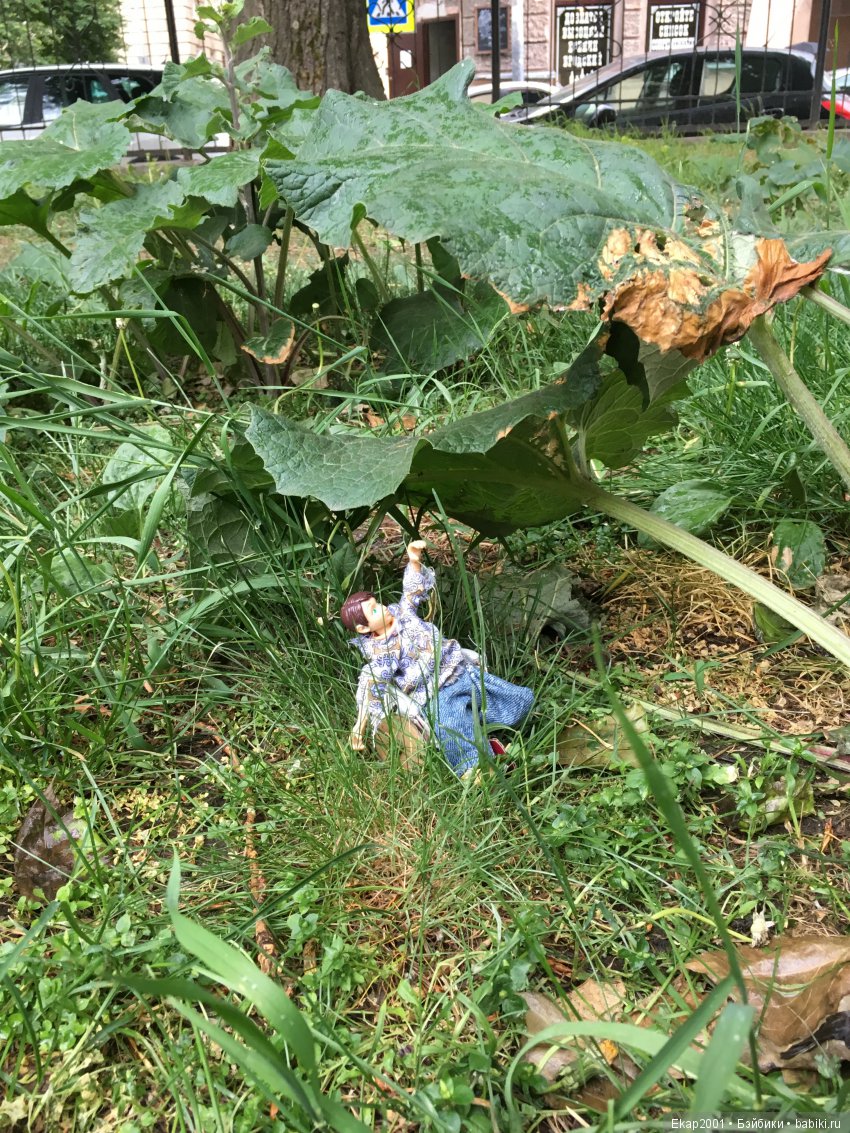 Прогулка с Настей — Помощь в ремонте кукол: вопросы мастерам и советы по реставрации (фото 2)