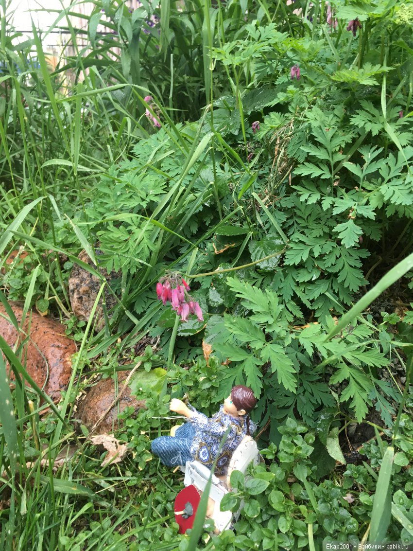 Прогулка с Настей — Помощь в ремонте кукол: вопросы мастерам и советы по реставрации