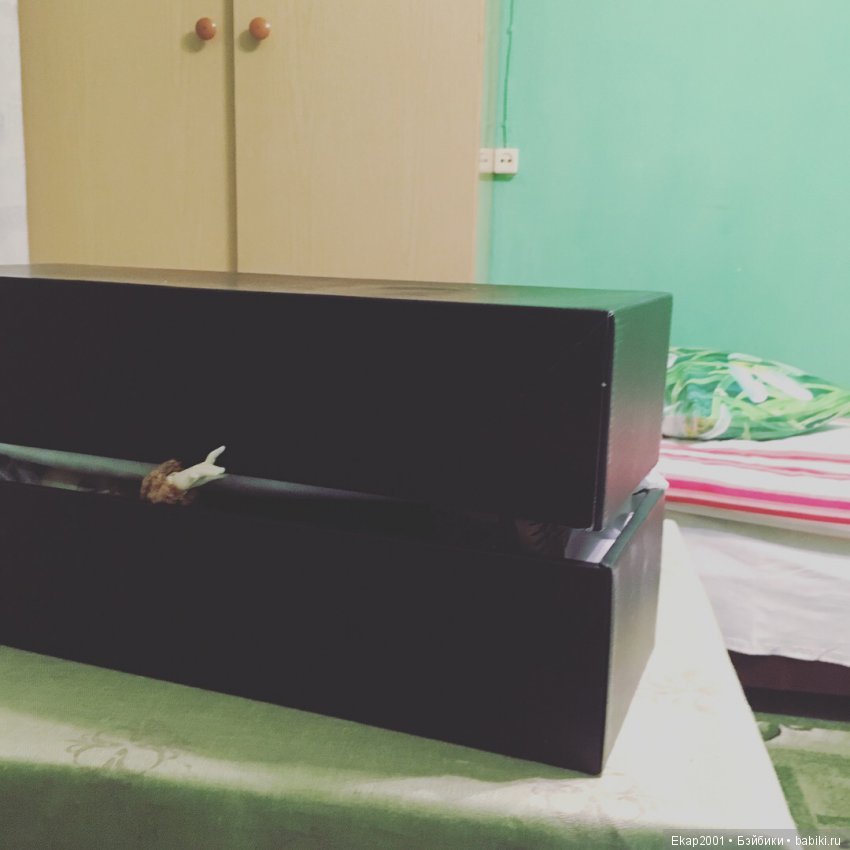 Рождественские каникулы — Туризм и путешествия: фотоотчеты из поездок (фото 2)