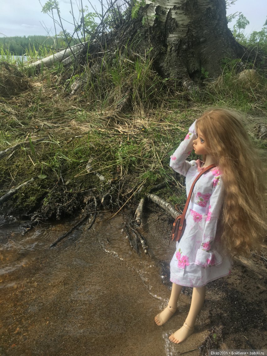 Куклы DIM (Doll in Mind): корейские BJD (БЖД) (фото 5)