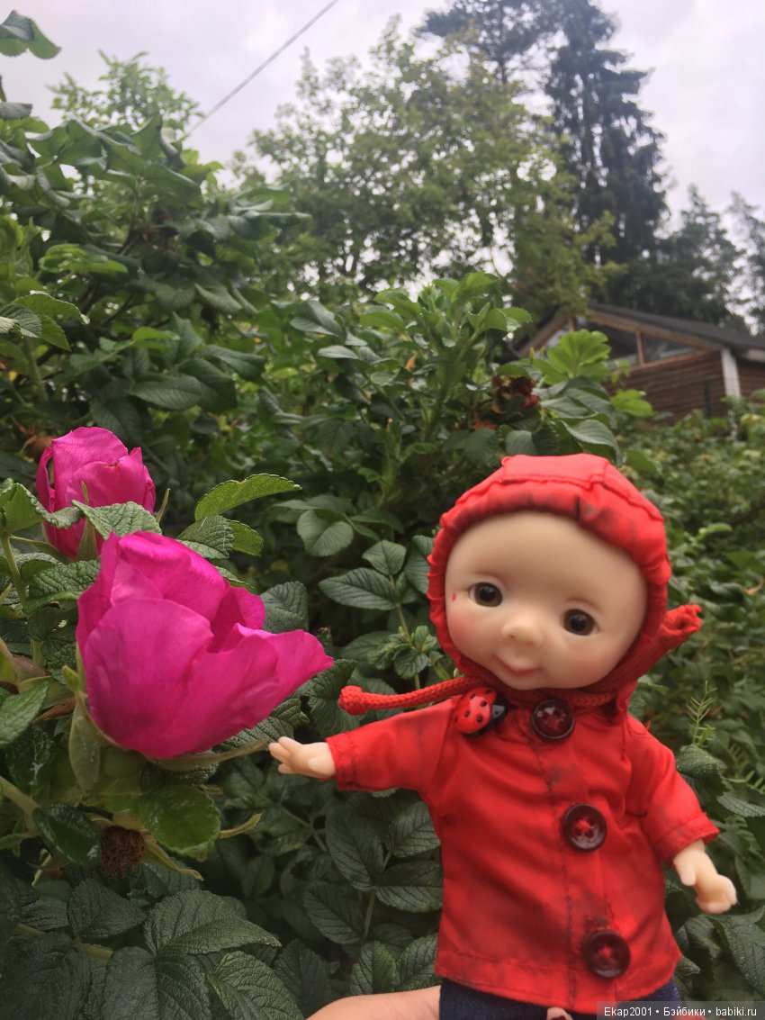 Куклы Nikki Britt (Никки Бритт): авторские BJD (БЖД) (фото 9)