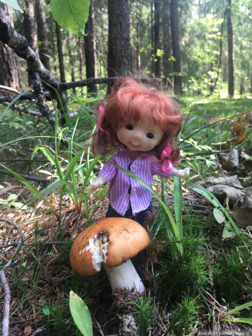 Куклы Nikki Britt (Никки Бритт): авторские BJD (БЖД) (фото 3)