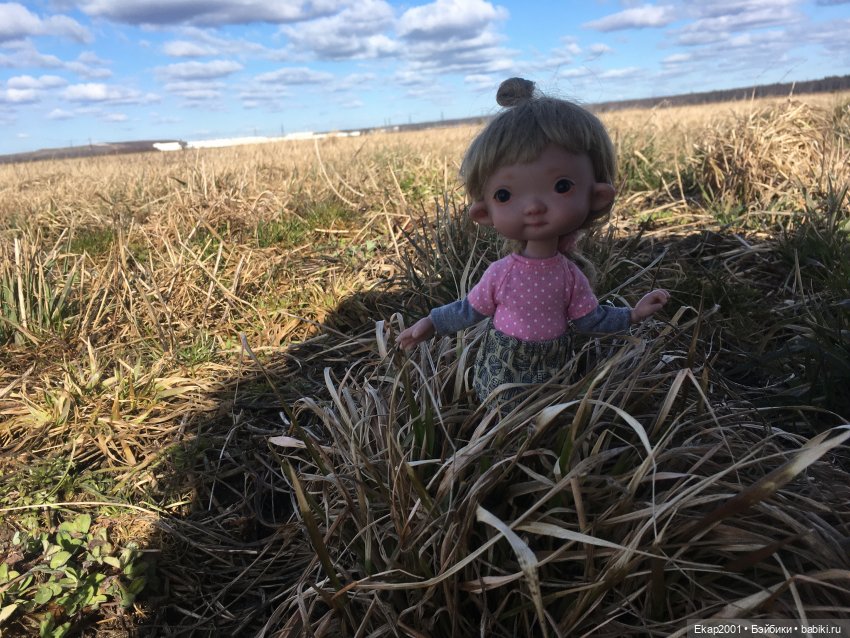 Ния и поле — Куклы Irrealdoll (Ирреалдолл): BJD (БЖД) (фото 3)