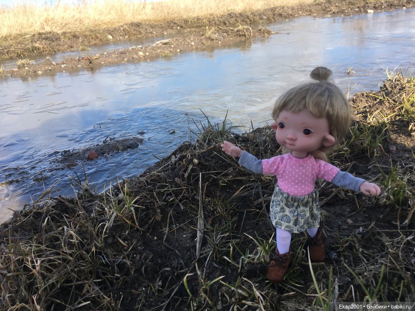 Ния и поле — Куклы Irrealdoll (Ирреалдолл): BJD (БЖД) (фото 8)