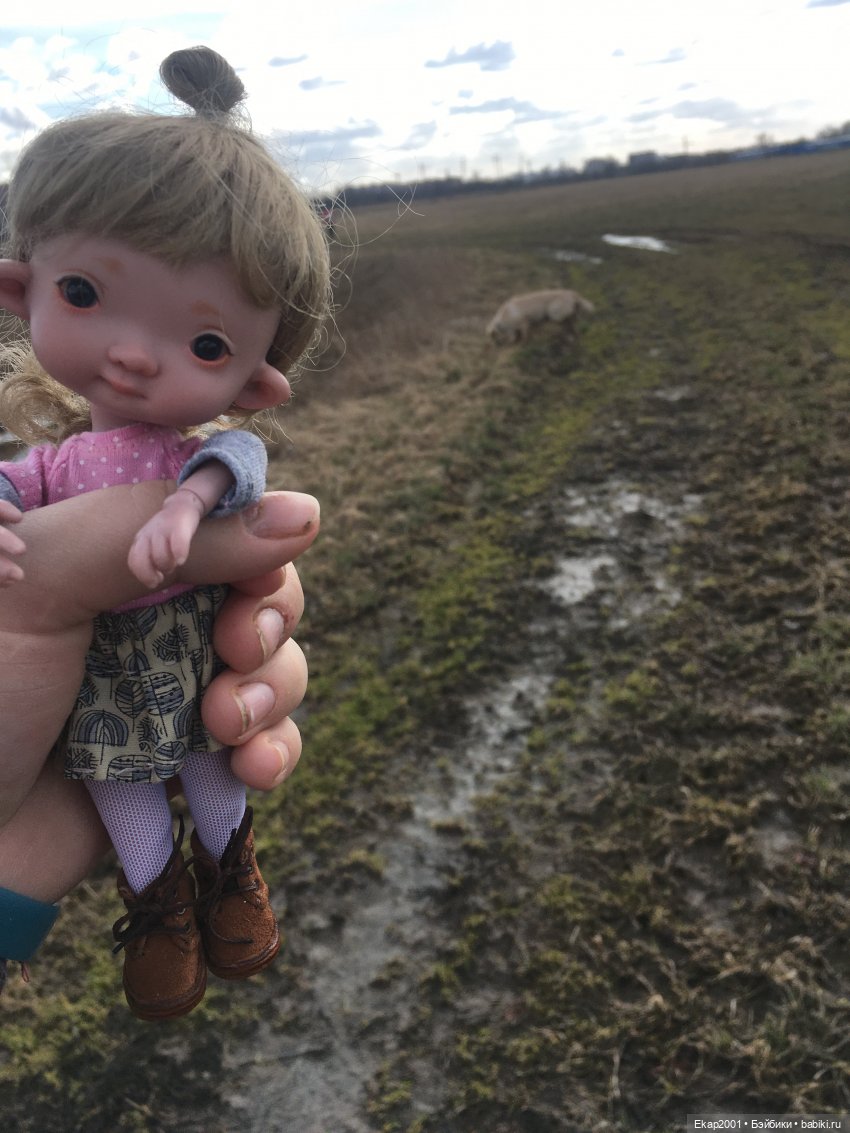 Ния и поле — Куклы Irrealdoll (Ирреалдолл): BJD (БЖД) (фото 7)