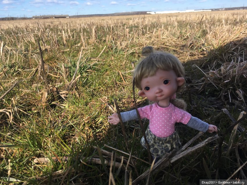 Ния и поле — Куклы Irrealdoll (Ирреалдолл): BJD (БЖД) (фото 4)