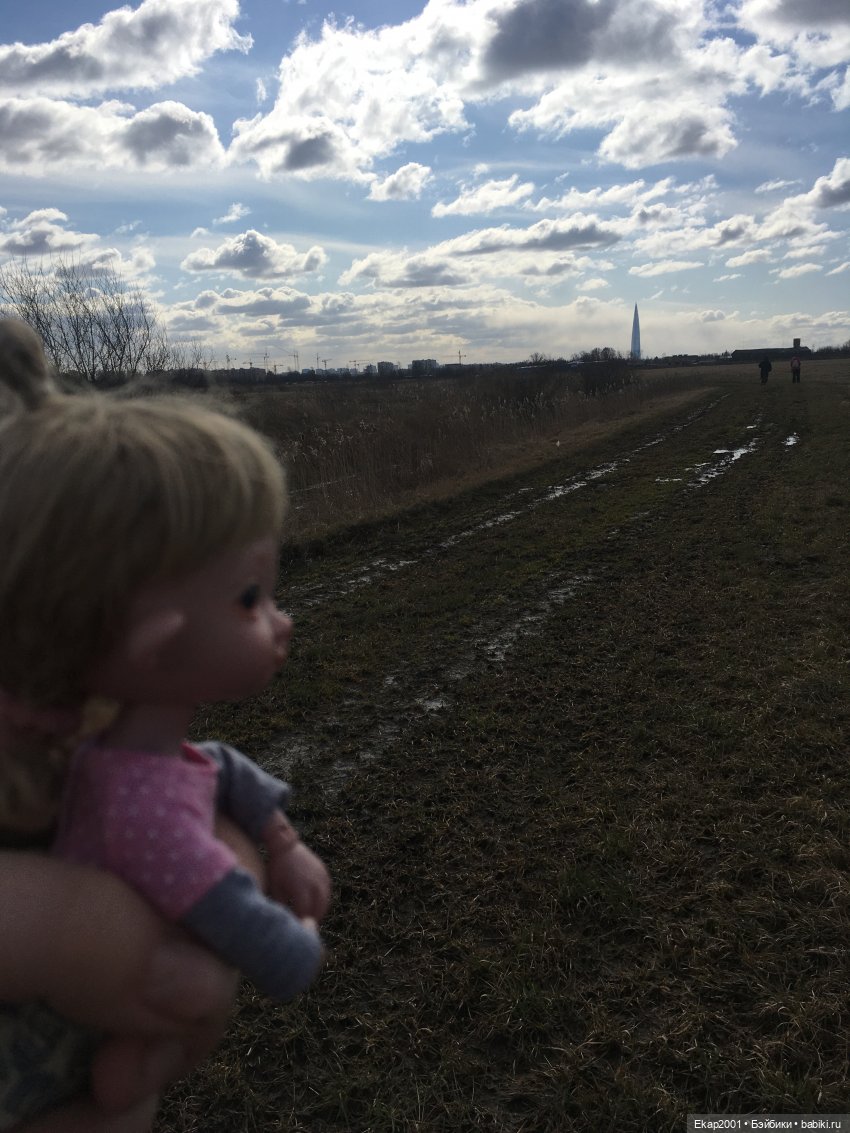 Ния и поле — Куклы Irrealdoll (Ирреалдолл): BJD (БЖД) (фото 6)