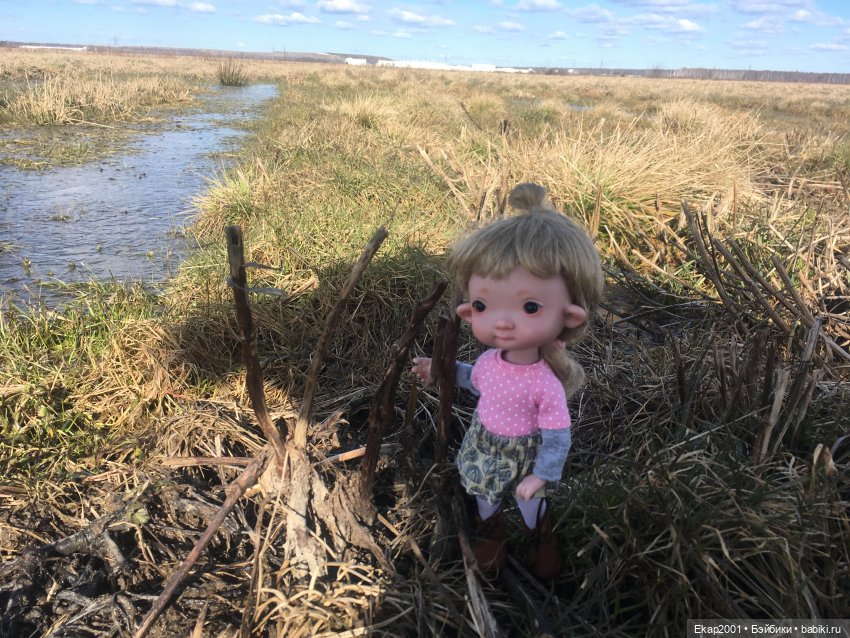 Ния и поле — Куклы Irrealdoll (Ирреалдолл): BJD (БЖД) (фото 2)