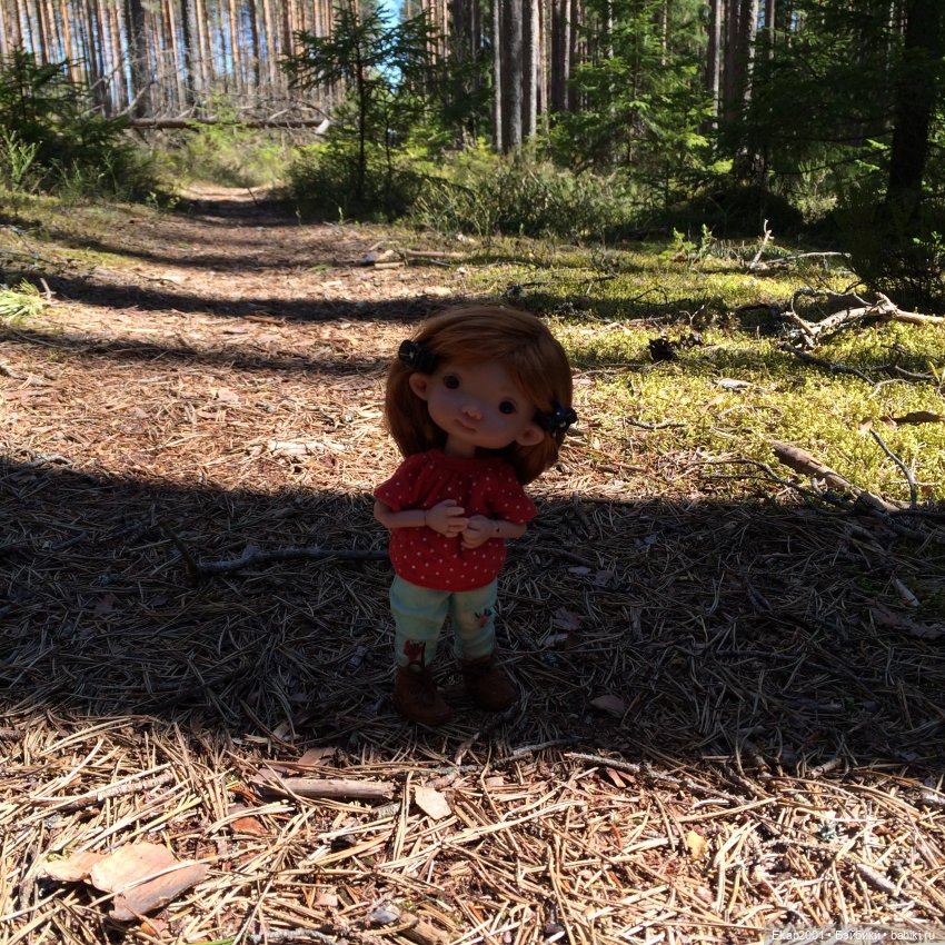 Прогулка — Куклы Irrealdoll (Ирреалдолл): BJD (БЖД) (фото 2)