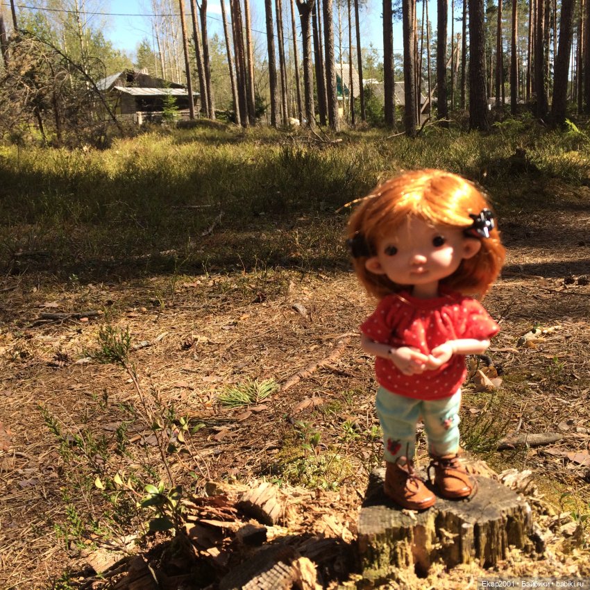 Прогулка — Куклы Irrealdoll (Ирреалдолл): BJD (БЖД)