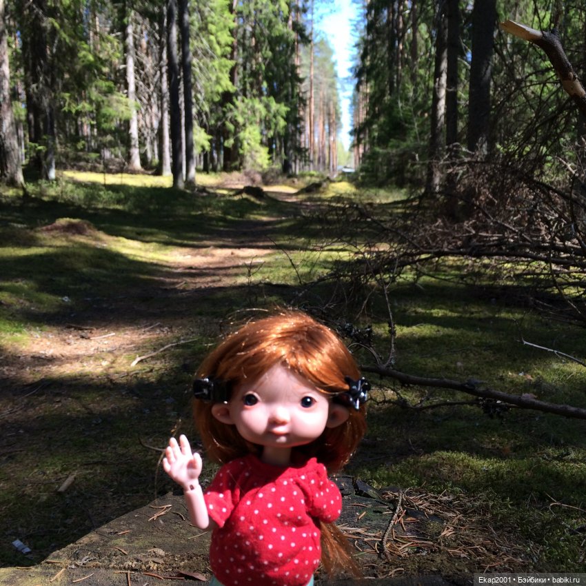 Прогулка — Куклы Irrealdoll (Ирреалдолл): BJD (БЖД) (фото 3)