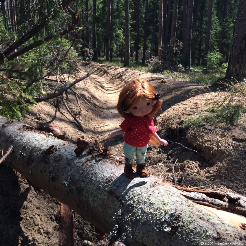 Прогулка — Куклы Irrealdoll (Ирреалдолл): BJD (БЖД) (фото 6)