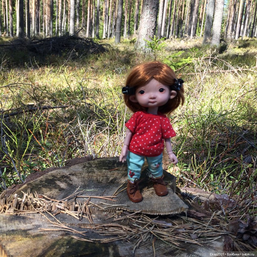 Прогулка — Куклы Irrealdoll (Ирреалдолл): BJD (БЖД)